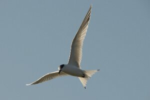 Bibione_D3X_2010-01-16_0041